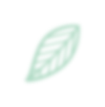 leaf 11