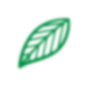 leaf 6