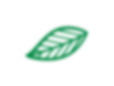 leaf 2