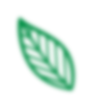 leaf 8