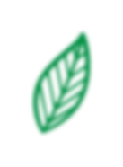 leaf 5