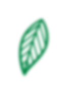 leaf 9