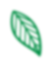 leaf 6