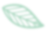 leaf 5