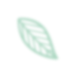 leaf 5