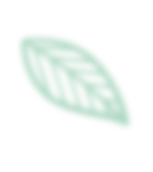 leaf 9