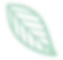 leaf 1