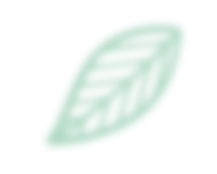 leaf 7