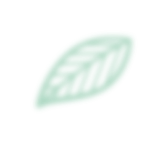 leaf 4