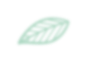 leaf 1