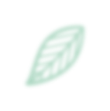 leaf 6