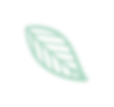 leaf 3